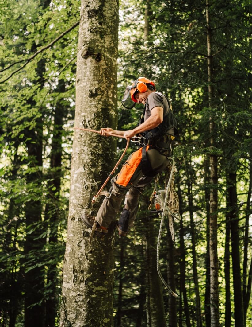 Business photography with Pajurama — Bisch Not am Maa GmbH — Image 19 | Craft business Switzerland