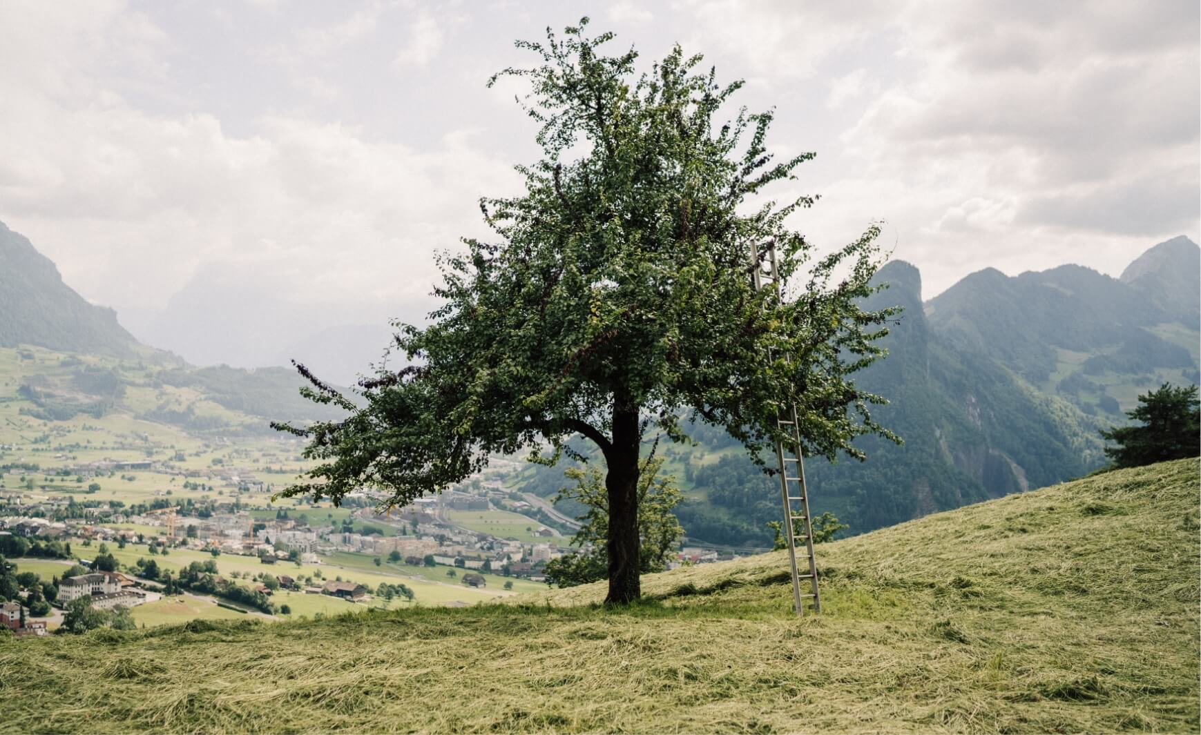 Business photography with Pajurama — Bisch Not am Maa GmbH — Image 21 | Craft business Switzerland