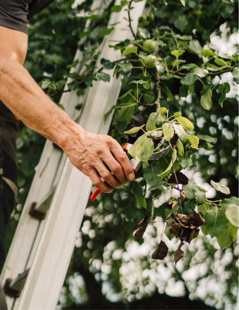 Business photography with Pajurama — Bisch Not am Maa GmbH — Image 22 | Craft business Switzerland