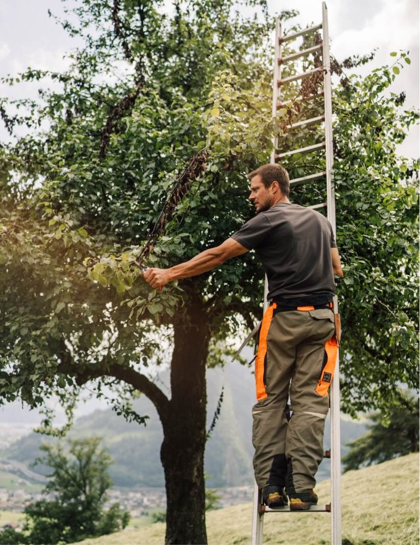 Business photography with Pajurama — Bisch Not am Maa GmbH — Image 23 | Craft business Switzerland